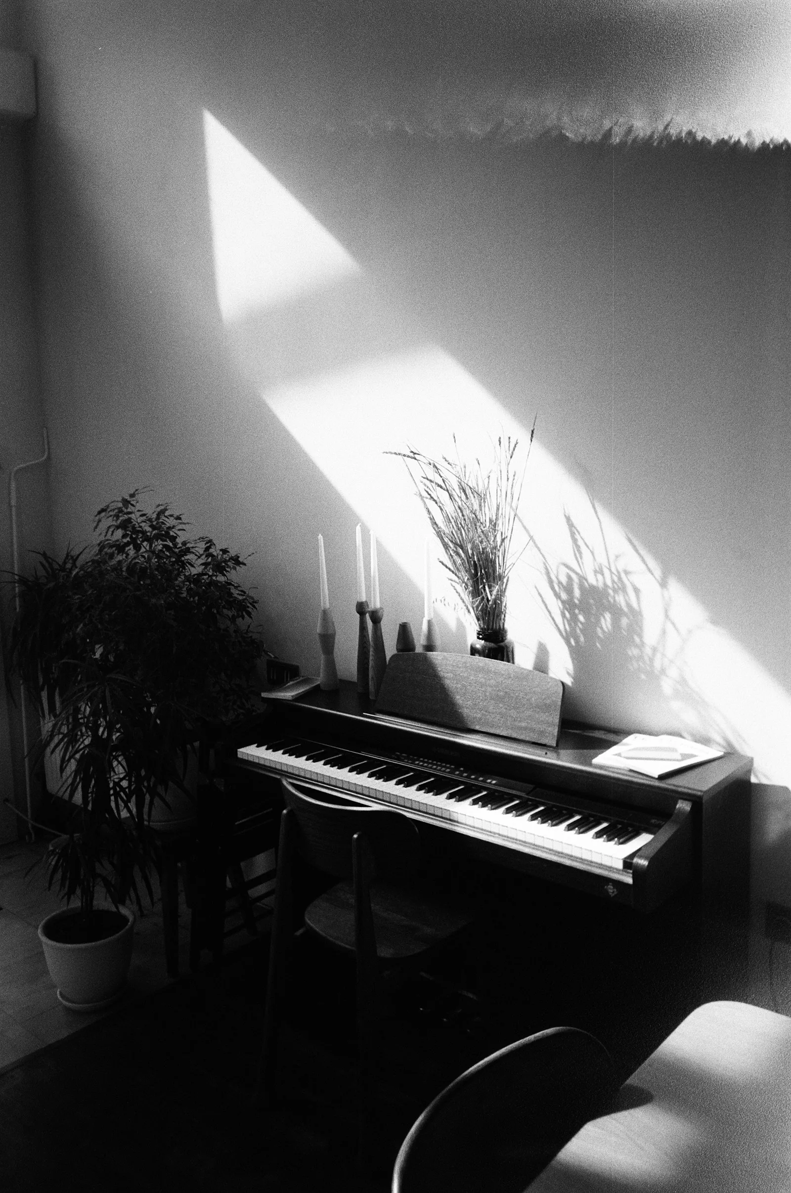 Summer Piano Moving in San Diego: Heat, Humidity, and What to Watch For